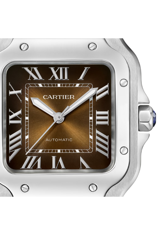SANTOS DE CARTIER