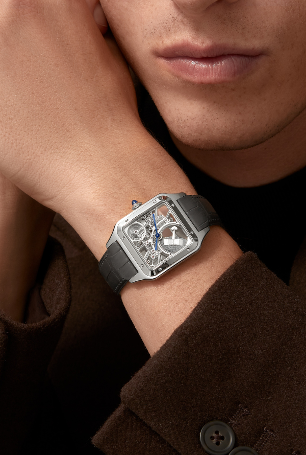 SANTOS-DUMONT SKELETON