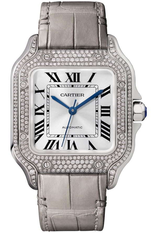 SANTOS DE CARTIER