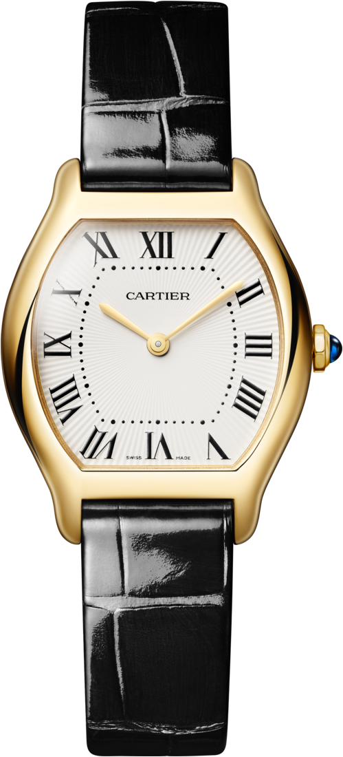 Tortue de Cartier