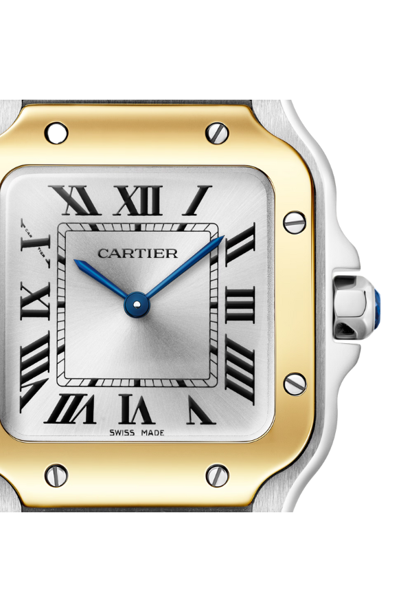 SANTOS DE CARTIER