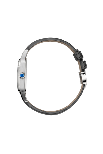 SANTOS-DUMONT SKELETON