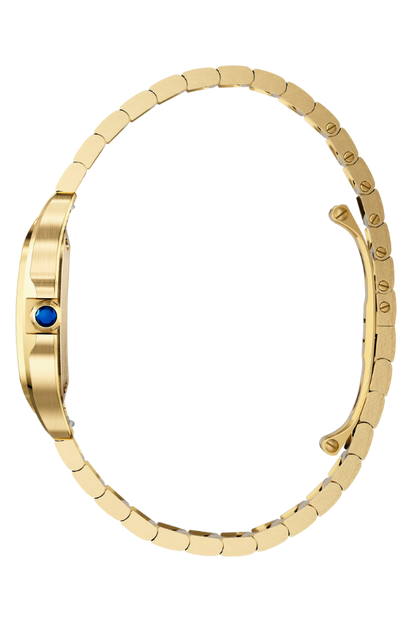 SANTOS DE CARTIER