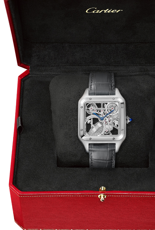 SANTOS-DUMONT SKELETON