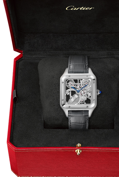 SANTOS-DUMONT SKELETON