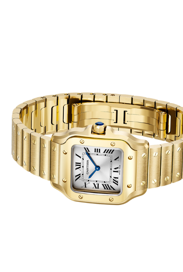 SANTOS DE CARTIER