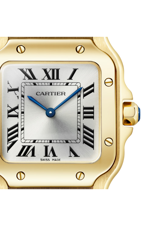 SANTOS DE CARTIER