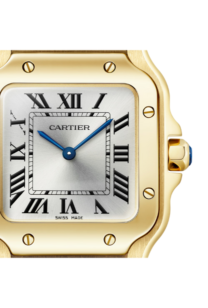 SANTOS DE CARTIER