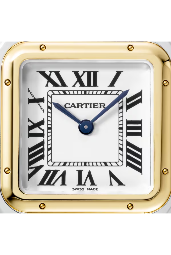 PANTHERE DE CARTIER
