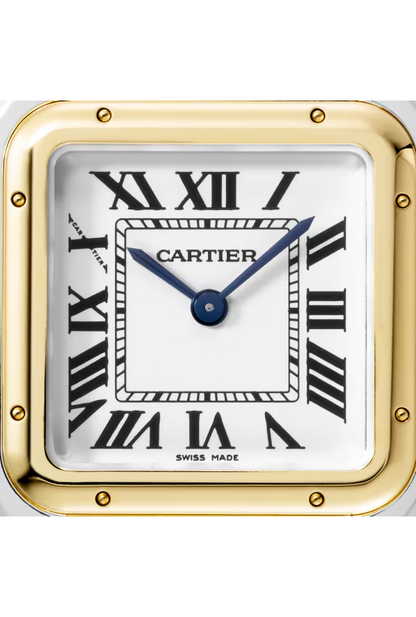 PANTHERE DE CARTIER