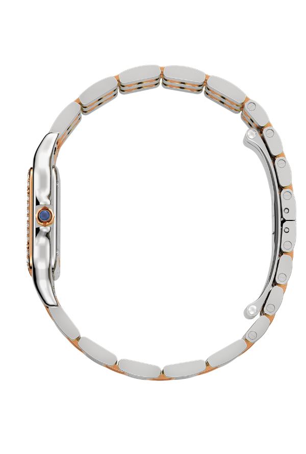 Panthère de Cartier
