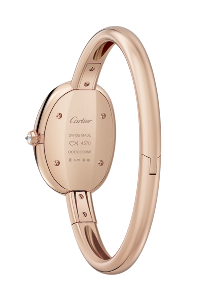 BAIGNOIRE WATCH (SIZE 15)