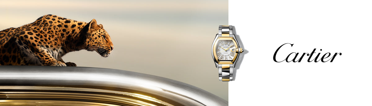 PUWA11868 ROADSTER LM GOLD&STEEL 2560x731 W2RD0010.jpg__PID:4821ee7e-930e-48e8-8edf-fc766bd980cd