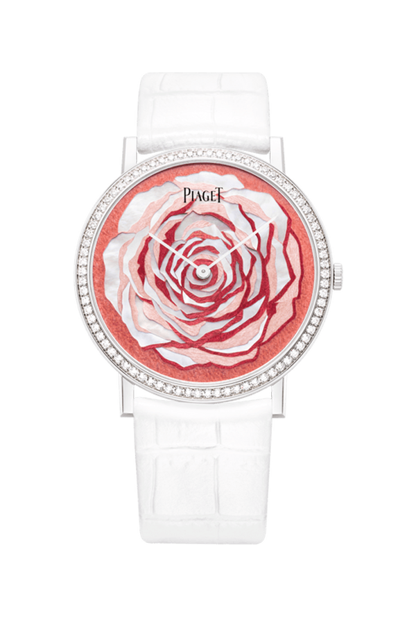 ALTIPLANO ROSE