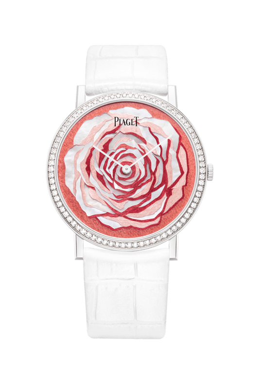 ALTIPLANO ROSE